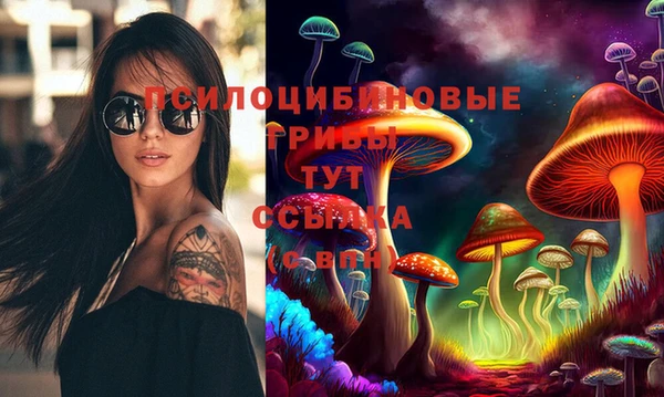 герыч Каменногорск