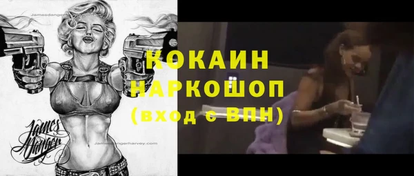 индика Карталы