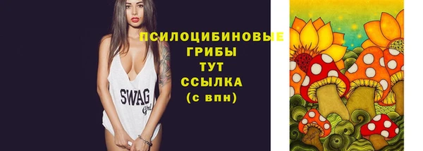 индика Карталы