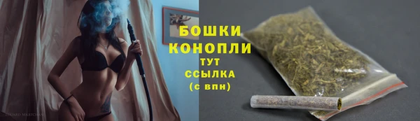 индика Карталы