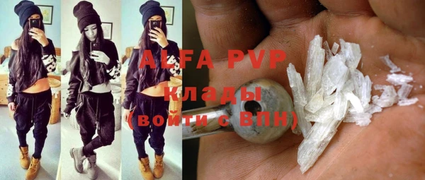 индика Карталы