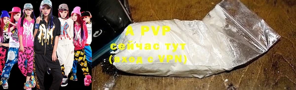 индика Карталы