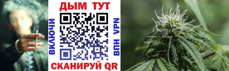 Бошки Шишки OG Kush Колпашево